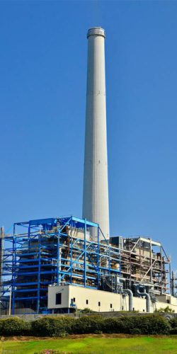 Biomass Power Generation